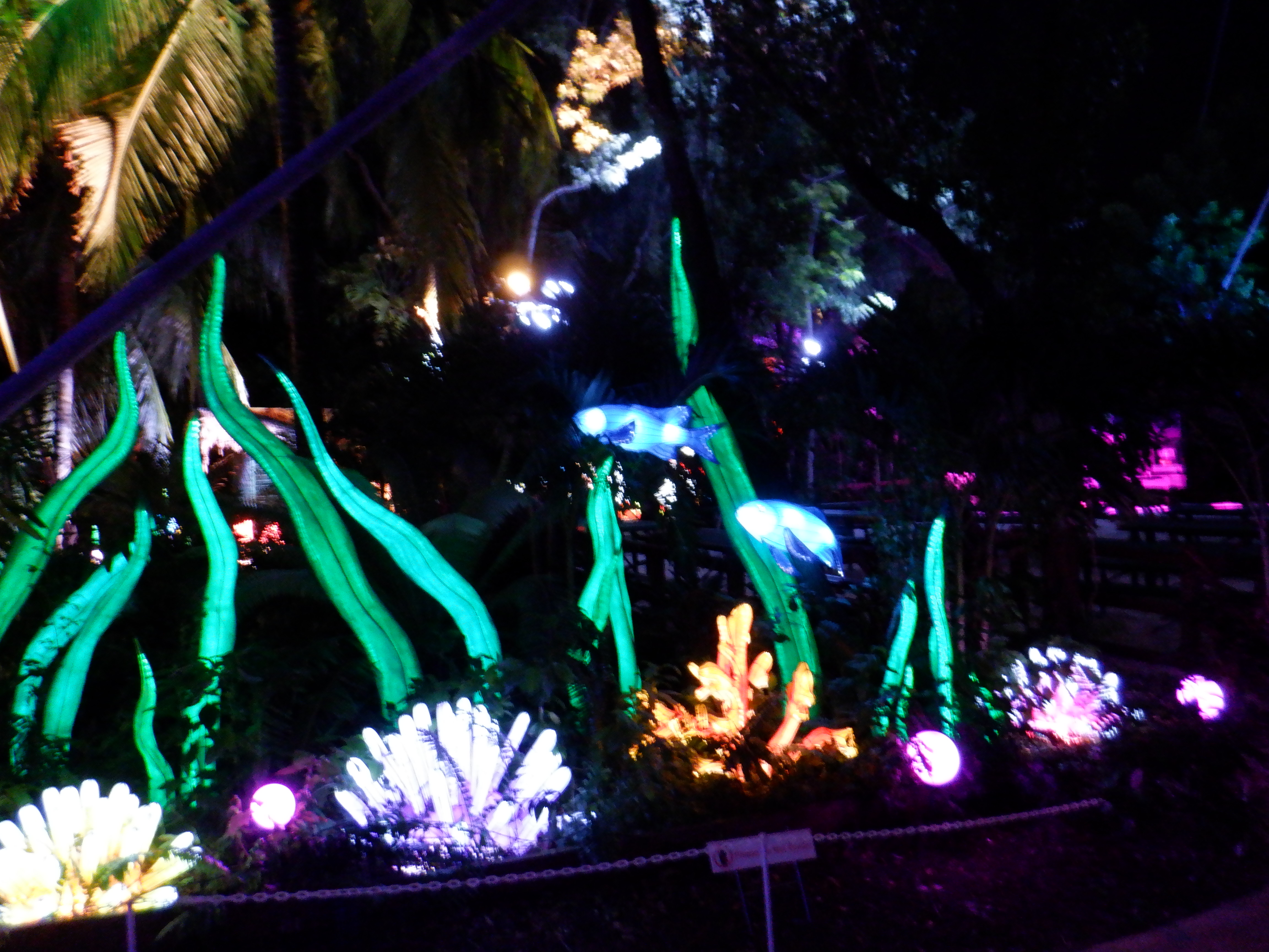 ./2019/14 - Miami/DSCF0443.JPG
